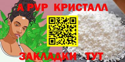 ECSTASY Гатчина