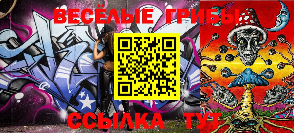 Ногинск  Галлюциногенные грибы Psilocybine cubensis  Вход с VPN 